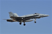 Miguel A. gueda Rguez.  (CANARY ISLANDS SPOTTING). Click to see full size photo