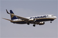 Alfonso Sols - Asociacin Canary Islands Spotting. Click to see full size photo