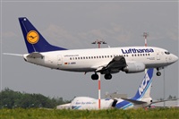 Rubn Gil - Noisy Spotters. Click to see full size photo