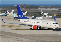 ©Alejandro H.L - Gran Canaria Spotters. Click to see full size photo ©Alejandro H.L - Gran Canaria Spotters. Click to see full size photo