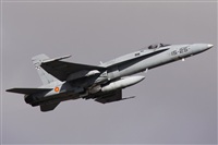 ©Alfonso Solís - Asociación Canary Islands Spotting. Click to see full size photo ©Alfonso Solís - Asociación Canary Islands Spotting. Click to see full size photo