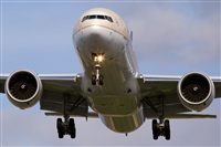 Javier de la Cruz - CANARY ISLANDS SPOTTING. Click to see full size photo