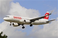 Miguel A. gueda Rguez.  (CANARY ISLANDS SPOTTING). Click to see full size photo