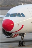 Miguel A. gueda Rguez.  (CANARY ISLANDS SPOTTING). Click to see full size photo