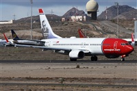 ©Alfonso Solís - Asociación Canary Islands Spotting. Click to see full size photo ©Alfonso Solís - Asociación Canary Islands Spotting. Click to see full size photo