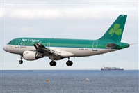 Adrin Alonso Lemes - Lanzarote Spotters. Click to see full size photo