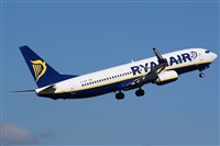 Saimon J Rodriguez   -   Canary Islands Spotting. Click to see full size photo