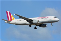 Miguel A. gueda Rguez.  (CANARY ISLANDS SPOTTING). Click to see full size photo