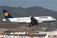 Bartolom Fernndez - Gran Canaria Spotters. Click to see full size photo