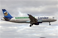 Florencio Martn Melin - Lanzarote Spotters. Click to see full size photo