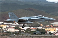 Bartolom Fernndez - Gran Canaria Spotters. Click to see full size photo