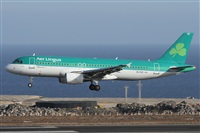 Alfonso Sols - Asociacin Canary Islands Spotting. Click to see full size photo