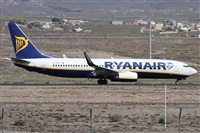 ©Alfonso Solís - Asociación Canary Islands Spotting. Click to see full size photo ©Alfonso Solís - Asociación Canary Islands Spotting. Click to see full size photo