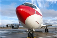 ©Adolfo Bento - Gran Canaria Spotters. Click to see full size photo ©Adolfo Bento - Gran Canaria Spotters. Click to see full size photo