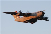 Rodrigo Carvalho - Noisy Spotters. Click to see full size photo
