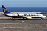 ©Alfonso Solís - Asociación Canary Islands Spotting. Click to see full size photo ©Alfonso Solís - Asociación Canary Islands Spotting. Click to see full size photo