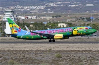 Saimon J Rodriguez   -   Canary Islands Spotting. Haz click para ampliar