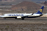 Alfonso Sols - Asociacin Canary Islands Spotting. Click to see full size photo