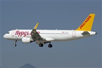 Saimon J Rodriguez   -   Canary Islands Spotting. Click to see full size photo