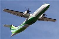 ©Alfonso Solís - Asociación Canary Islands Spotting. Click to see full size photo ©Alfonso Solís - Asociación Canary Islands Spotting. Click to see full size photo