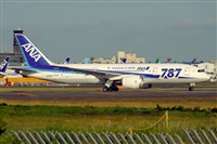 Miguel A. gueda Rguez.  (CANARY ISLANDS SPOTTING). Click to see full size photo