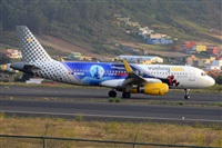 Miguel A. gueda Rguez.  (CANARY ISLANDS SPOTTING). Haz click para ampliar