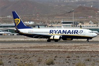 Alfonso Sols - Asociacin Canary Islands Spotting. Click to see full size photo