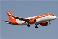 Alfonso Sols - Asociacin Canary Islands Spotting. Haz click para ampliar