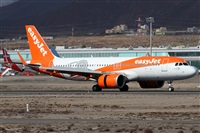 ©Alfonso Solís - Asociación Canary Islands Spotting. Click to see full size photo ©Alfonso Solís - Asociación Canary Islands Spotting. Click to see full size photo