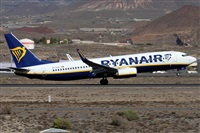 Alfonso Sols - Asociacin Canary Islands Spotting. Haz click para ampliar