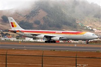 Miguel A. gueda Rguez.  (CANARY ISLANDS SPOTTING). Click to see full size photo