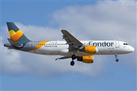 Saimon J Rodriguez   -   Canary Islands Spotting. Click to see full size photo