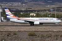©Alfonso Solís - Asociación Canary Islands Spotting. Click to see full size photo ©Alfonso Solís - Asociación Canary Islands Spotting. Click to see full size photo