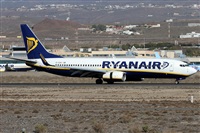 Alfonso Sols - Asociacin Canary Islands Spotting. Click to see full size photo