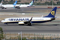 Alfonso Sols - Asociacin Canary Islands Spotting. Haz click para ampliar