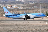 Miguel A. gueda Rguez.  (CANARY ISLANDS SPOTTING). Haz click para ampliar