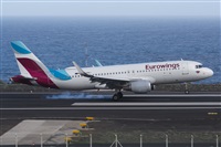©Luis Rguez - La Palma Spotting. Click to see full size photo ©Luis Rguez - La Palma Spotting. Click to see full size photo