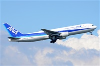 Miguel A. gueda Rguez.  (CANARY ISLANDS SPOTTING). Click to see full size photo