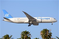 Miguel A. gueda Rguez.  (CANARY ISLANDS SPOTTING). Click to see full size photo