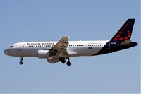 Alfonso Sols - Asociacin Canary Islands Spotting. Click to see full size photo