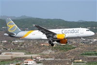 ©Luis Rguez - La Palma Spotting. Click to see full size photo ©Luis Rguez - La Palma Spotting. Click to see full size photo