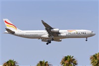 Miguel A. gueda Rguez.  (CANARY ISLANDS SPOTTING). Click to see full size photo