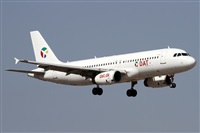 ©Alfonso Solís - Asociación Canary Islands Spotting. Click to see full size photo ©Alfonso Solís - Asociación Canary Islands Spotting. Click to see full size photo