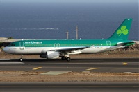Alfonso Sols - Asociacin Canary Islands Spotting. Click to see full size photo