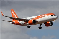 Alfonso Sols - Asociacin Canary Islands Spotting. Click to see full size photo