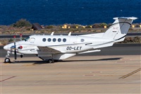©Adolfo Bento - Gran Canaria Spotters. Click to see full size photo ©Adolfo Bento - Gran Canaria Spotters. Click to see full size photo
