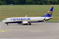Miguel A. gueda Rguez.  (CANARY ISLANDS SPOTTING). Click to see full size photo