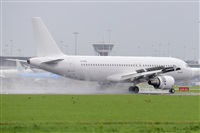 Miguel A. gueda Rguez.  (CANARY ISLANDS SPOTTING). Click to see full size photo