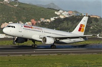 Alfonso Sols - Asociacin Canary Islands Spotting. Click to see full size photo