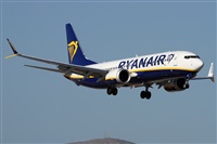 Alfonso Sols - Asociacin Canary Islands Spotting. Click to see full size photo